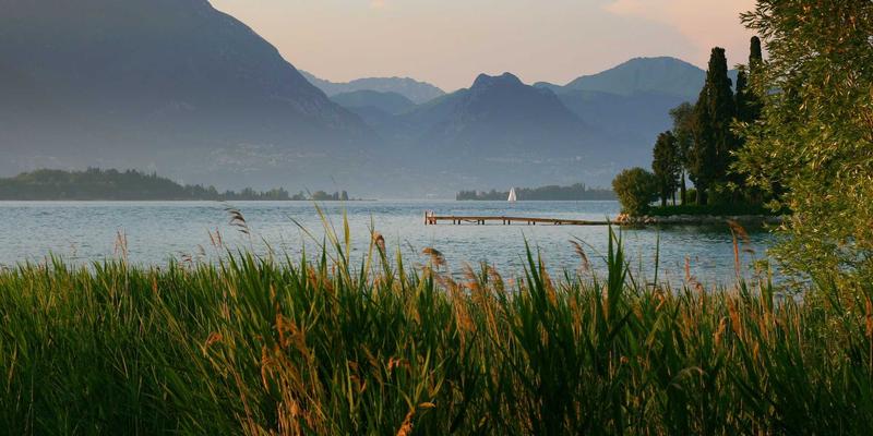 Beyond Borrowing: How Modern Loan Services and Financial Consulting Empower Your Journey with Zen Finance