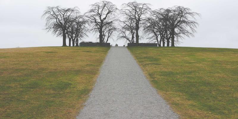 Unlock Your Home's Value: How to Use a Home Equity Loan for Major Renovations (And When to Consider Personal Loans)