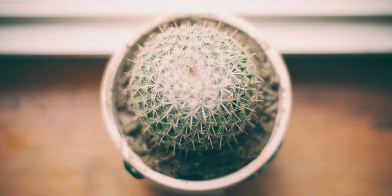 Zen Finance：为医生与牙医量身定制的执业启动与扩张贷款方案及财务咨询