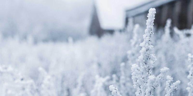 个人贷款与财务规划：如何善用贷款服务实现您的财务目标