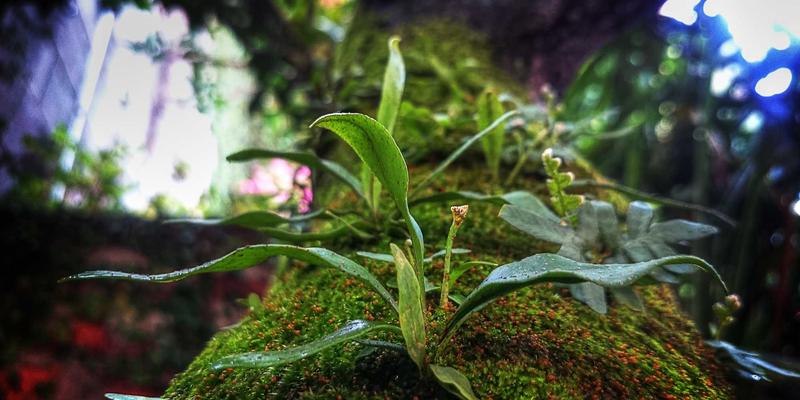 信用合作社 vs 银行贷款：专业mortgage advice与financial consulting助您明智选择