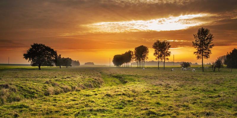 农业经营者贷款指南：美国农业部FSA贷款申请条件与贴息政策详解