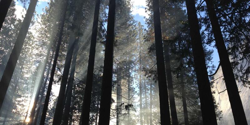 商业贷款与抵押贷款建议：全面解读专业贷款服务如何助力企业成长与资产规划