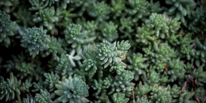 商业贷款与财务规划：Zen Finance如何助力企业稳健成长