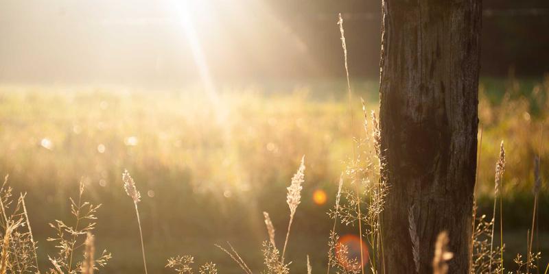 房屋净值信贷额度（HELOC）深度解析：如何为房屋翻新与教育投资做出明智的财务决策