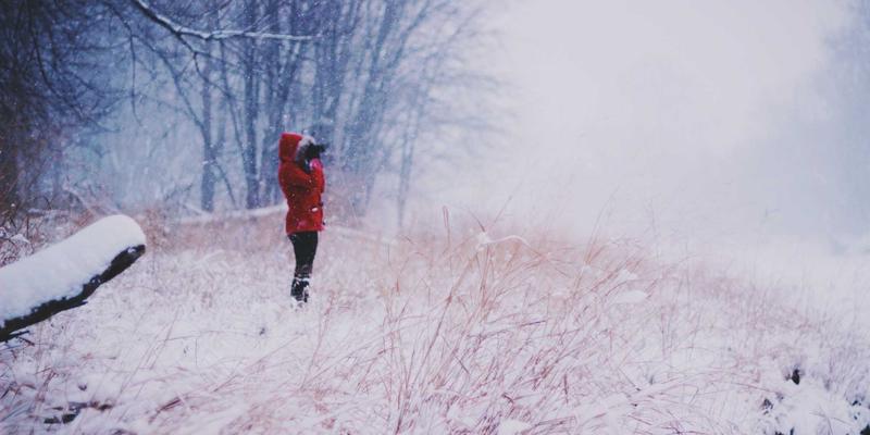 教育贷款再融资终极指南：通过财务规划降低利率与合并多笔学生债务