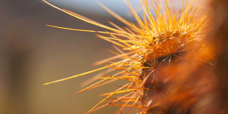 无抵押个人信用贷款：专业Mortgage Advice之外的财务规划利器