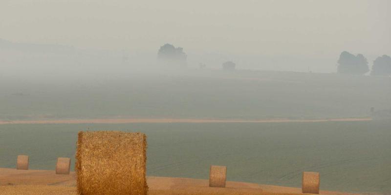 智慧医疗升级指南：Zen Finance专项贷款如何助力诊所实现数字化转型