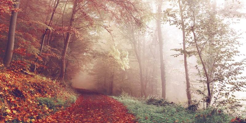 智慧融资新范式：如何通过商业贷款与禅意财务规划驱动企业增长