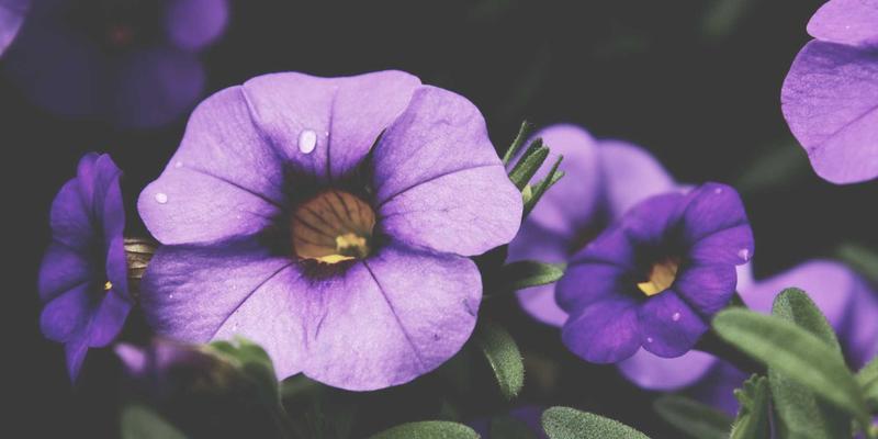 智慧融资新范式：如何通过商业贷款与禅意财务规划驱动企业增长