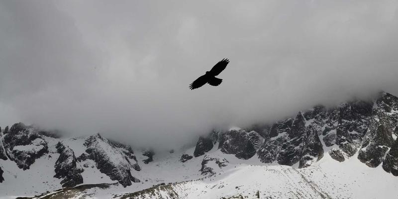智慧融资新选择：Zen Finance如何通过专业房贷咨询与财务规划服务引领您的财富之路