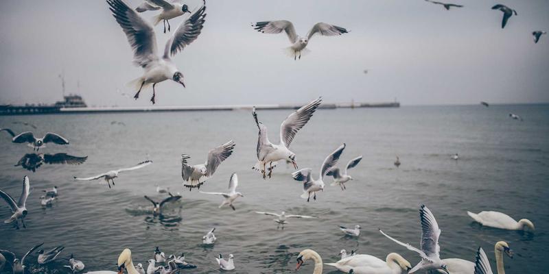 智慧运用个人贷款与专业贷款服务，为您的财务规划注入新动能