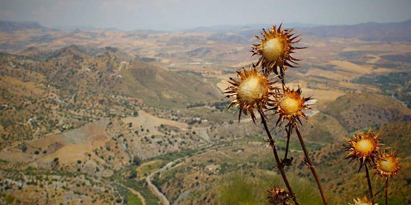 绿色能源贷款详解：如何通过专业Mortgage Advice与Loan Services为家庭太阳能板安装融资