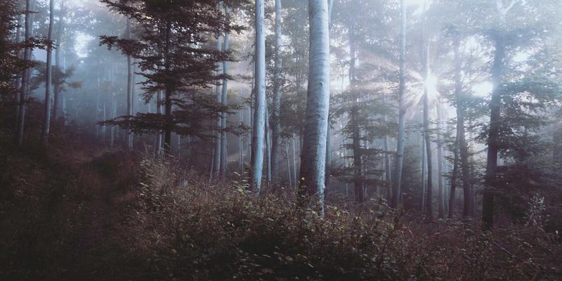 贷款服务如何赋能您的财务规划：商业贷款与个人贷款的战略运用