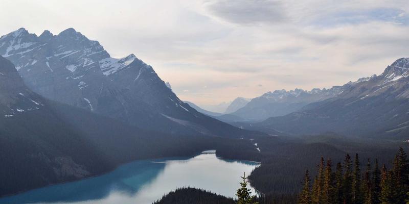 超越简单借贷：如何通过专业财务咨询与规划，让贷款服务成为财富增长的起点