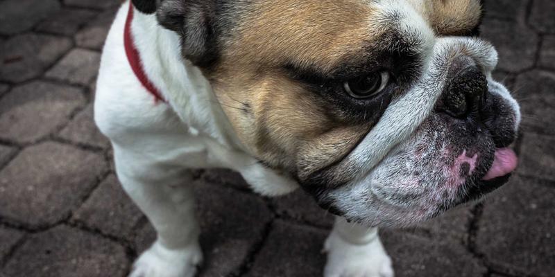 超越贷款本身：如何通过专业财务规划与咨询实现资产优化