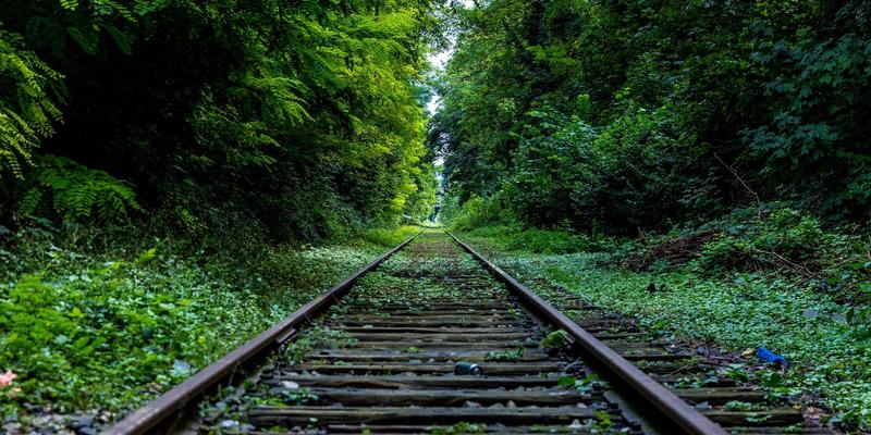 餐饮业扩张融资指南：深度评估设备租赁贷款与商业房地产贷款的优劣 | Zen Finance 专业解析